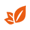 contorni